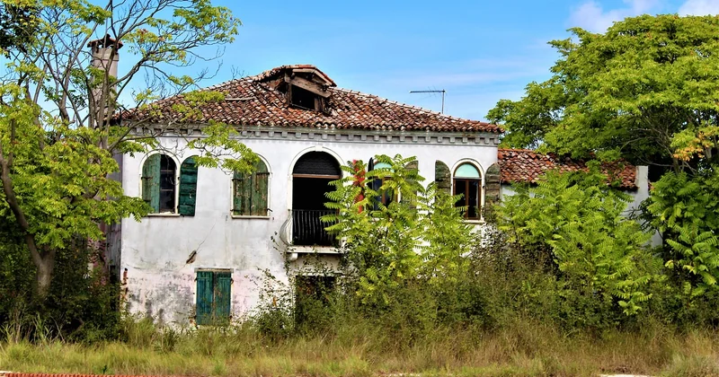 Isoler en fibres végétales les constructions anciennes : un mariage naturel